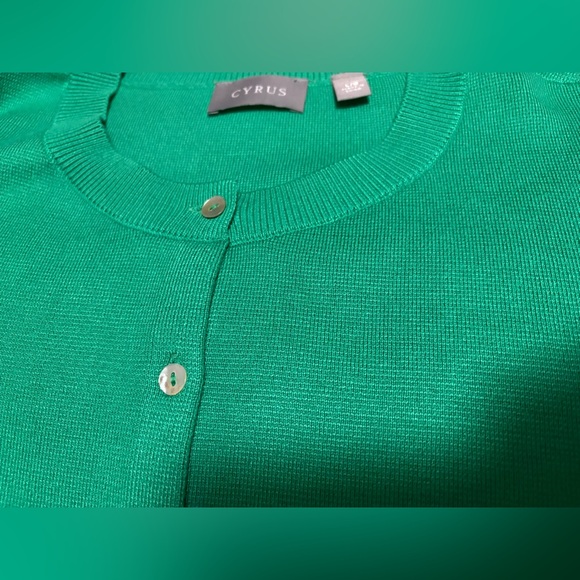 Cyrus Green Women's Sweater Size Large - Picture 4 of 6